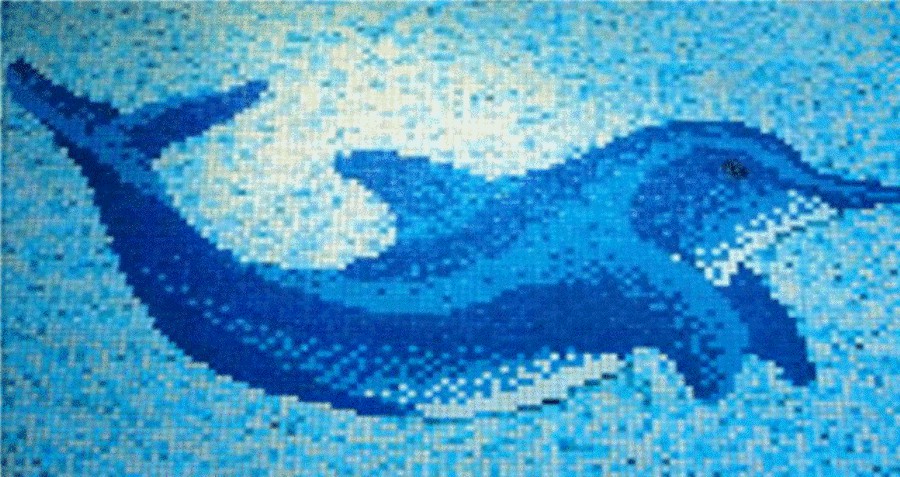 Pool Bildmosaik Delphin Big 160x110cm | Ekosten.se
